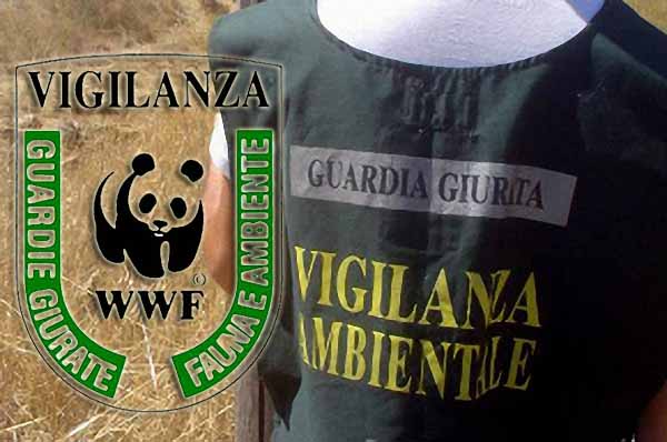 GUARDIE GIURATE VOLONTARIE WWF PISTOIA, BILANCIO 2014