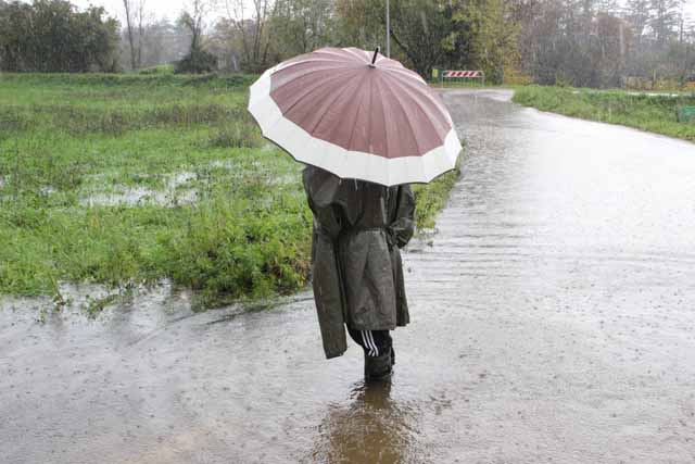 maltempo. FENOMENI IN ATTENUAZIONE IN TUTTA LA REGIONE maltempo. FENOMENI IN ATTENUAZIONE IN TUTTA LA REGIONE