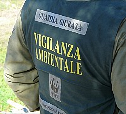 GUARDIE, WWF, PROVINCIA E PREFETTURA. PALANDRI: «METTERE A DISPOSIZIONE DELLA COMUNITÀ TEMPO E DENARO È ORMAI FUORI MODA!»