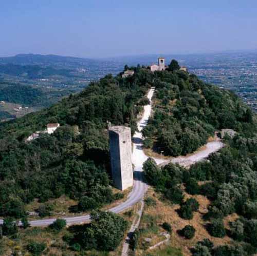ITINERARI STORICO-FAUNO-BOTANICI CON IL PADULE DI FUCECCHIO ITINERARI STORICO-FAUNO-BOTANICI CON IL PADULE DI FUCECCHIO