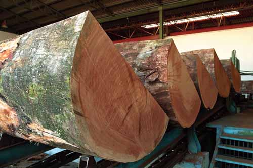 IL SISTEMA LEGNO IN TOSCANA: DOVE SONO E COSA FANNO LE IMPRESE DEL SETTORE