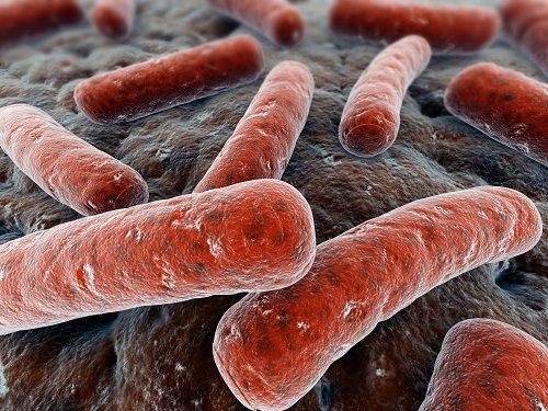TUBERCOLOSI, LA MULTIMEDIALITÀ COME NUOVO STRUMENTO FORMATIVO TUBERCOLOSI, LA MULTIMEDIALITÀ COME NUOVO STRUMENTO FORMATIVO