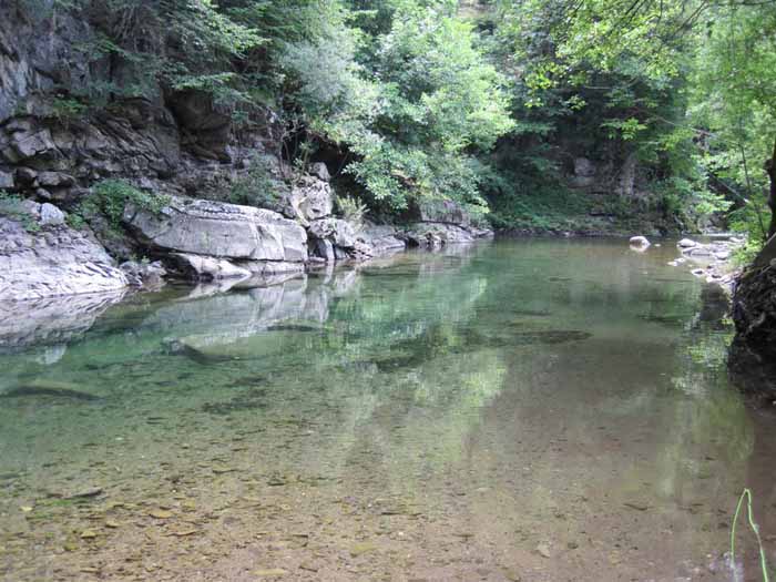 PESCA, ZONA A REGOLAMENTO SPECIFICO SUL TORRENTE LIMENTRA PESCA, ZONA A REGOLAMENTO SPECIFICO SUL TORRENTE LIMENTRA