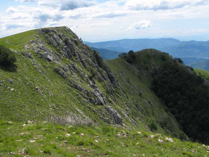 IL PARCO NAZIONALE DELL’APPENNINO TOSCO-EMILIANO NELLA “RISERVA DELLE BIOSFERE” IL PARCO NAZIONALE DELL’APPENNINO TOSCO-EMILIANO NELLA “RISERVA DELLE BIOSFERE”