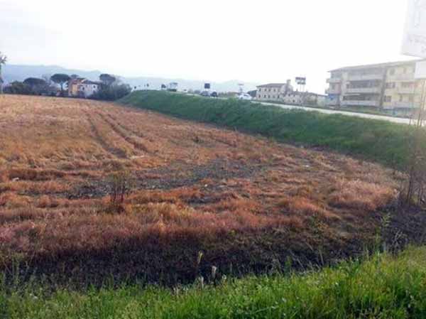 PESTICIDI E SALUTE PESTICIDI E SALUTE
