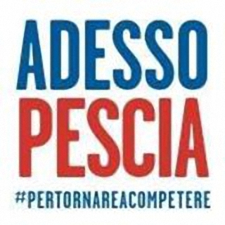LA GRANDE VITTORIA DEL PARTITO DEMOCRATICO DI MATTEO RENZI LA GRANDE VITTORIA DEL PARTITO DEMOCRATICO DI MATTEO RENZI
