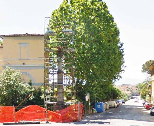 LEGNO ROSSO. PER IL MONUMENTO DI LINNEO C’È ANCORA TEMPO LEGNO ROSSO. PER IL MONUMENTO DI LINNEO C’È ANCORA TEMPO