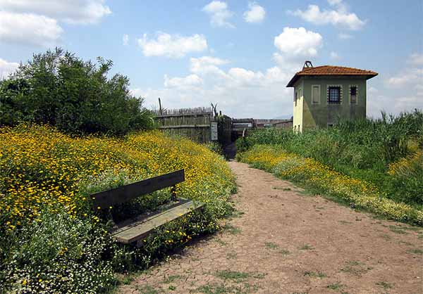 PADULE, ULTIME VISITE PRIMAVERILI GUIDATE PADULE, ULTIME VISITE PRIMAVERILI GUIDATE