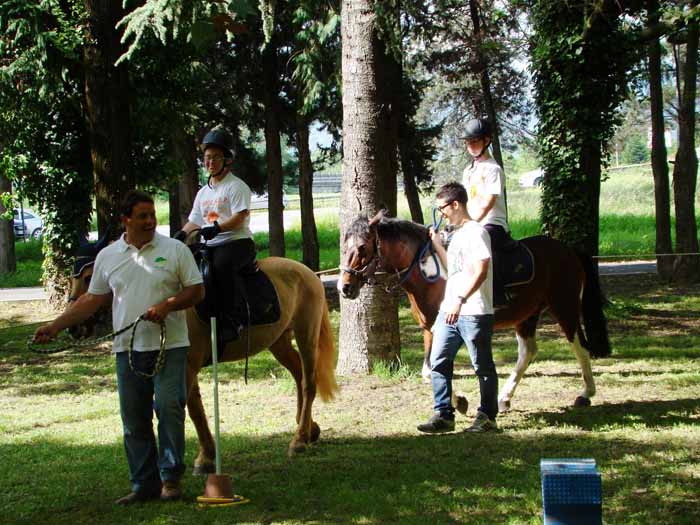 serravalle. UN CAVALLO PER AMICO serravalle. UN CAVALLO PER AMICO