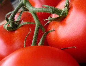 Pomodori rossi