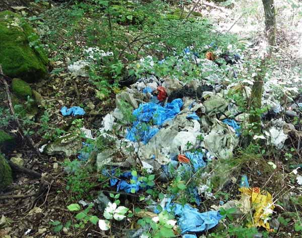 DISCARICA ABUSIVA DI POGGIO ALLA GUARDIA DISCARICA ABUSIVA DI POGGIO ALLA GUARDIA