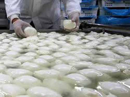 LA ‘BUFALA’ DELLE MOZZARELLE DI BUFALA LA ‘BUFALA’ DELLE MOZZARELLE DI BUFALA