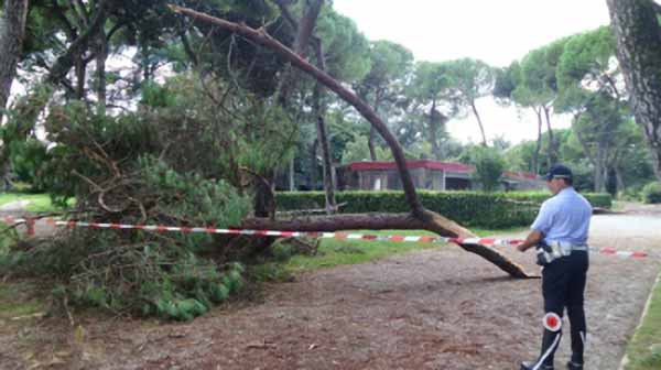 DAVVERO TANTE E TROPPE LE CRITICITÀ DI QUESTA AMMINISTRAZIONE DAVVERO TANTE E TROPPE LE CRITICITÀ DI QUESTA AMMINISTRAZIONE
