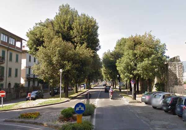 PISTA CICLABILE SUL VIALE ARCADIA: INUTILE E COSTOSA PISTA CICLABILE SUL VIALE ARCADIA: INUTILE E COSTOSA