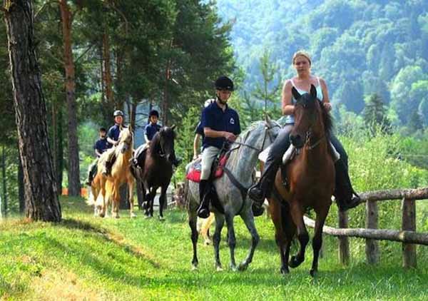 TURISMO EQUESTRE COME SEGMENTO STRATEGICO DI UNA NUOVA OFFERTA TURISMO EQUESTRE COME SEGMENTO STRATEGICO DI UNA NUOVA OFFERTA