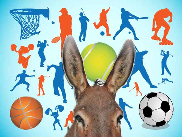 LO SPORT IN MANO A CHI DI SPORT POCO O NULLA CONOSCE LO SPORT IN MANO A CHI DI SPORT POCO O NULLA CONOSCE