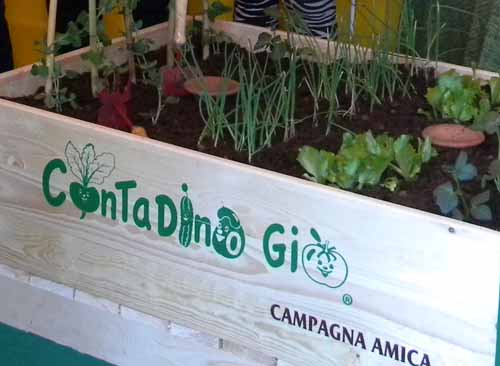PISTOIA. PREMIO ZINI 2015, APERTE LE DANZE PISTOIA. PREMIO ZINI 2015, APERTE LE DANZE
