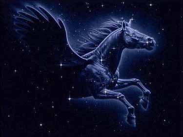 “PEGASO PER LO SPORT”, ATTESA L’EDIZIONE 2015 “PEGASO PER LO SPORT”, ATTESA L’EDIZIONE 2015