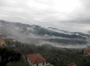 Paesaggi nebbiosi