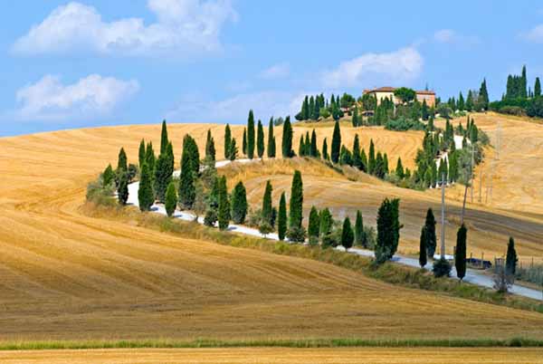 COME STANNO I TOSCANI? BENE, GRAZIE COME STANNO I TOSCANI? BENE, GRAZIE