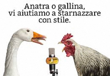 «PISTOIESI, BASTA FARE I GALLETTI IN UN POLLAIO CHE NON È MAI STATO VOSTRO!» «PISTOIESI, BASTA FARE I GALLETTI IN UN POLLAIO CHE NON È MAI STATO VOSTRO!»