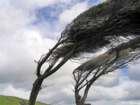 allerta meteo. VENTO FORTE DA STASERA FINO ALLE 17 DI DOMANI