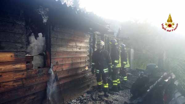 vigili del fuoco. CASETTA IN FIAMME A QUARRATA, MUOIONO QUATTRO CANI vigili del fuoco. CASETTA IN FIAMME A QUARRATA, MUOIONO QUATTRO CANI