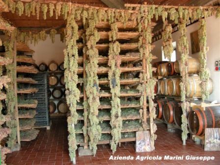coldiretti. IL VIN SANTO PISTOIESE FA 13