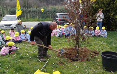 UN SUSINO PER LA SCUOLA DI SANTONUOVO UN SUSINO PER LA SCUOLA DI SANTONUOVO
