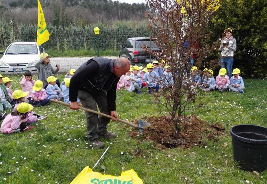 UN SUSINO PER LA SCUOLA DI SANTONUOVO UN SUSINO PER LA SCUOLA DI SANTONUOVO