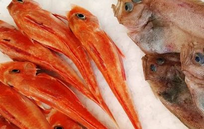 pasqua. FEDERCOOPESCA, IN QUARESIMA AUMENTA IL CONSUMOI DI PESCE pasqua. FEDERCOOPESCA, IN QUARESIMA AUMENTA IL CONSUMOI DI PESCE