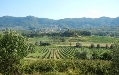 lettera aperta. NO A STRUMENTALIZZAZIONI SUL BIO-DISTRETTO DEL MONTABANO lettera aperta. NO A STRUMENTALIZZAZIONI SUL BIO-DISTRETTO DEL MONTABANO