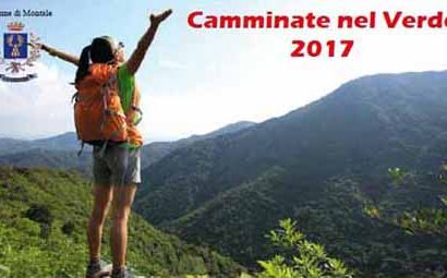 CAMMINATE NEL VERDE
