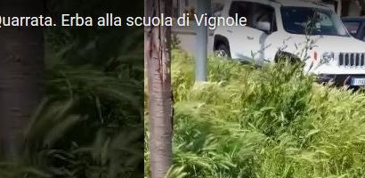 COMUNE DI QUARRATA E… VERDE PUBBLICO COMUNE DI QUARRATA E… VERDE PUBBLICO