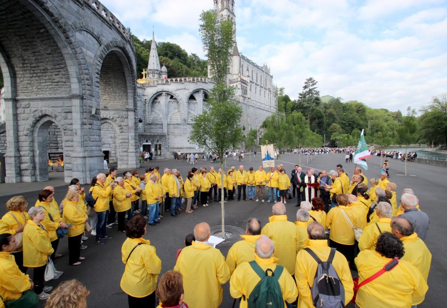 NOVE PIANTE DELLA GIORGIO TESI AL SANTUARIO DI LOURDES NOVE PIANTE DELLA GIORGIO TESI AL SANTUARIO DI LOURDES