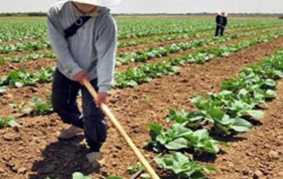 empoli. PARTE “AGRO BASIC SKILLS”