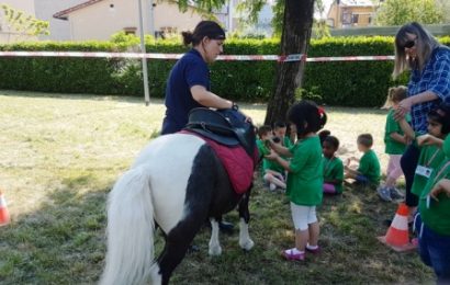 A CAVALLO DI… NATALE, PONY IN CITTÀ A CAVALLO DI… NATALE, PONY IN CITTÀ
