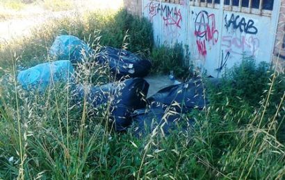 quarrata. DISCARICA ABUSIVA AL MOLIN NUOVO quarrata. DISCARICA ABUSIVA AL MOLIN NUOVO