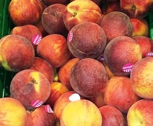 confagricoltura. LE PESCHE SPAGNOLE INVADONO IL MERCATO TOSCANO: È EMERGENZA