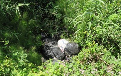 quarrata. ABBANDONO RIFIUTI ANCHE IN VIA NOCI quarrata. ABBANDONO RIFIUTI ANCHE IN VIA NOCI