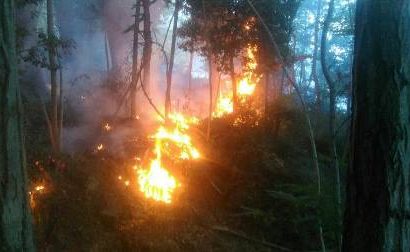 INCENDI, CONTINUA L’OPERATO DEI VIGILI DEL FUOCO INCENDI, CONTINUA L’OPERATO DEI VIGILI DEL FUOCO