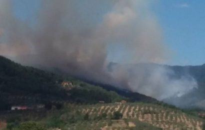 incendio. SONO SEMPRE DOLOSI E MANCA L’ORGANIZZAZIONE DI GOVERNO E REGIONI incendio. SONO SEMPRE DOLOSI E MANCA L’ORGANIZZAZIONE DI GOVERNO E REGIONI