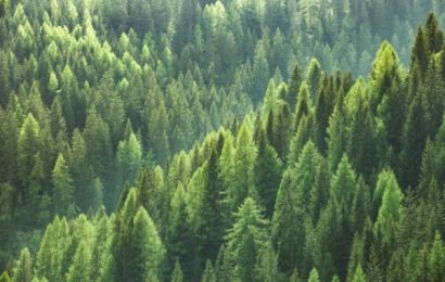 gavinana. UN PONTE FRA NATURA E SPIRITUALITÀ