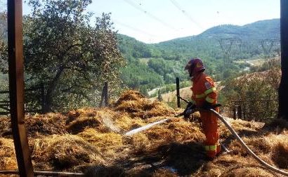 carmignano. OGGI SI DECIDONO LE AZIONI PER TUTELARE I BOSCHI