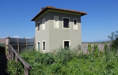 padule di fucecchio. LE ASSOCIAZIONI AMBIENTALISTE SI MOBILITANO IN DIFESA DEL CENTRO DI RICERCA