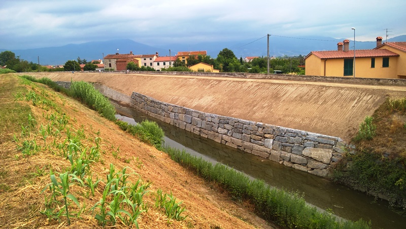 OMBRONE, ARGINI NUOVI ALLA FERRUCCIA E CASERANA GRAZIE AL CONSORZIO OMBRONE, ARGINI NUOVI ALLA FERRUCCIA E CASERANA GRAZIE AL CONSORZIO