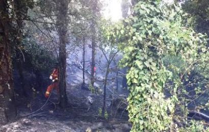 prato. DUE INCENDI (SENZA CONSEGUENZE) TRA VERNIO E CANTAGALLO prato. DUE INCENDI (SENZA CONSEGUENZE) TRA VERNIO E CANTAGALLO