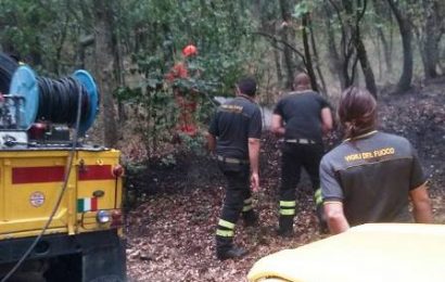 montemurlo. DOMATO INCENDIO BOSCHIVO montemurlo. DOMATO INCENDIO BOSCHIVO