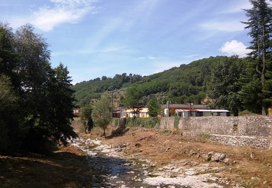 ALBERI LUNGO I FIUMI, TAGLI DEL CONSORZIO MEDIO VALDARNO ALBERI LUNGO I FIUMI, TAGLI DEL CONSORZIO MEDIO VALDARNO