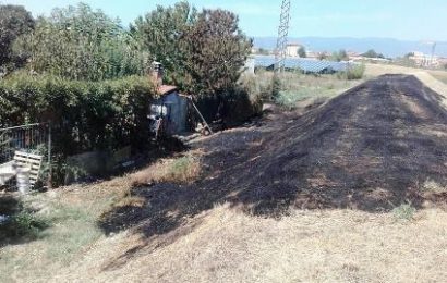 quarrata. PRENDE FUOCO L’ARGINE E DANNO LA COLPA AI CINESI “PESCATORI” quarrata. PRENDE FUOCO L’ARGINE E DANNO LA COLPA AI CINESI “PESCATORI”